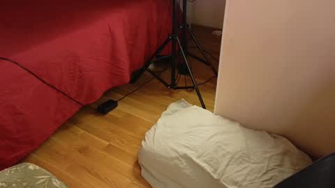 OTIS and MILIY online show from January 2025 06:25:01 PM