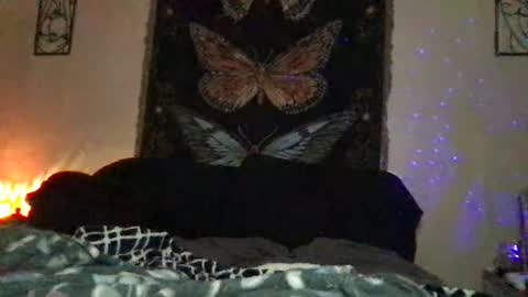 Snapshot of indigobay chatting on January 2025 12:17:01 AM Indigo Bay online show from January 2025 12:17:01 AM