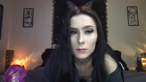 Snapshot of indigobay chatting on January 2025 02:54:01 AM Indigo Bay online show from January 2025 02:54:01 AM