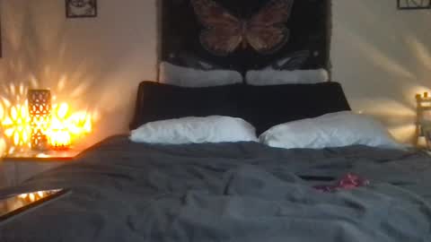 Snapshot of indigobay chatting on February 2025 07:26:01 AM Indigo Bay online show from February 2025 07:26:01 AM