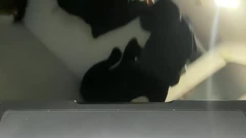 Lucas online show from December 2024 10:23:01 PM