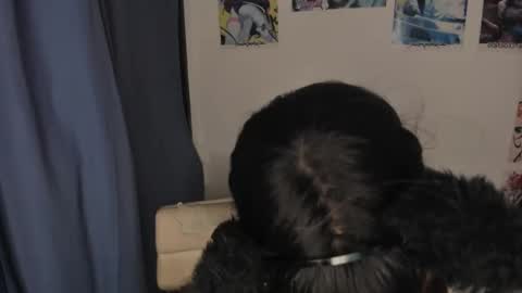 isa 3 online show from March 2025 02:47:02 AM