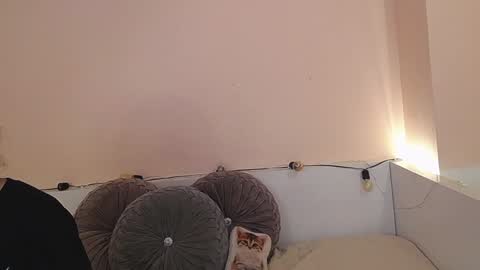    online show from December 2024 12:42:02 AM