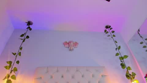   online show from January 2025 03:19:01 AM