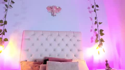   online show from November 2025 08:42:02 PM