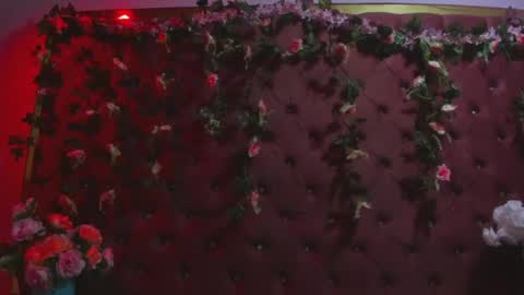 Isabella online show from June 2026 03:52:02 AM