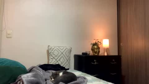 Snapshot of isabelprietoo chatting on October 2025 12:20:01 AM Isa online show from October 2025 12:20:01 AM