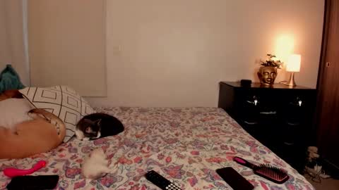 Snapshot of isabelprietoo chatting on October 2025 10:00:01 PM Isa online show from October 2025 10:00:01 PM