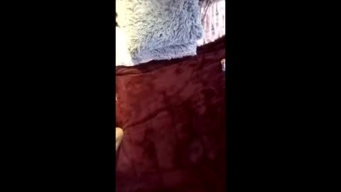 Ral online show from April 2026 09:32:01 AM