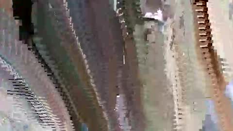 Snapshot of islandbey242 chatting on June 2026 03:14:02 PM islandbey242 online show from June 2026 03:14:02 PM