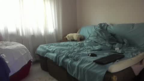 Snapshot of issabelle_69 chatting on October 2025 05:08:01 AM Issabelle online show from October 2025 05:08:01 AM