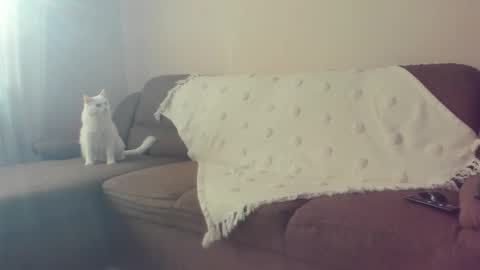 Snapshot of issabelle_69 chatting on October 2025 07:10:02 AM Issabelle online show from October 2025 07:10:02 AM