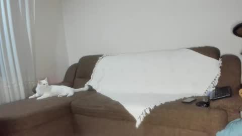 Snapshot of issabelle_69 chatting on November 2025 06:25:02 AM Issabelle online show from November 2025 06:25:02 AM