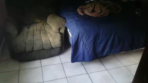 BearlyLoganFL online show from September 2025 12:16:01 PM