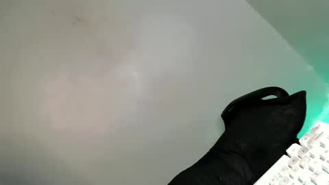 Bella online show from February 2025 07:56:02 AM