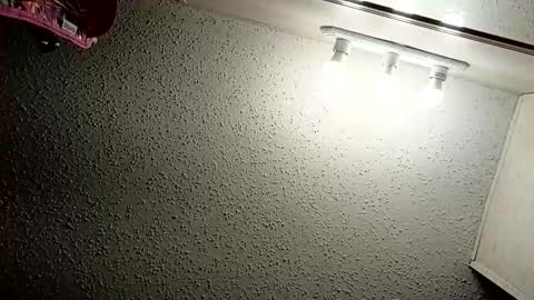 ittybittypritty online show from November 2025 11:19:01 AM