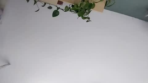 Vanchi online show from March 2026 07:16:02 AM