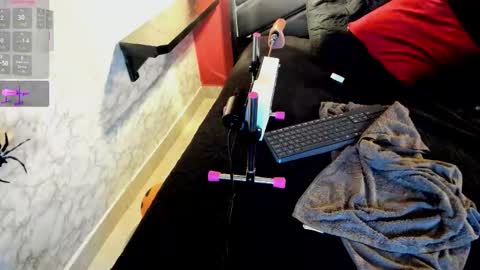 Ivis  online show from October 2025 12:28:01 PM