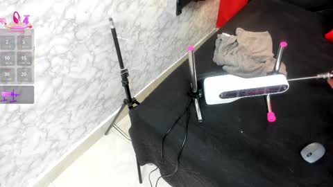 Ivis  online show from November 2025 12:04:01 PM