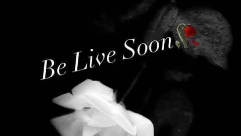 Ivy Rosie online show from November 2025 03:12:02 PM