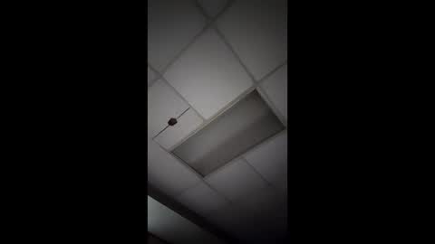 wonderbread online show from January 2026 11:49:01 AM