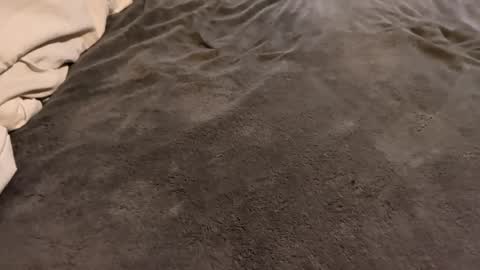 Snapshot of j_m12397 chatting on February 2026 03:17:01 AM j_m12397 online show from February 2026 03:17:01 AM