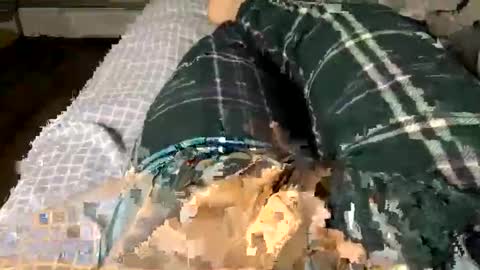 Jaaltar online show from December 2025 02:41:02 AM