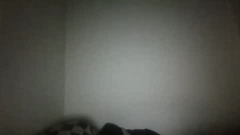 jack online show from February 2025 04:47:01 AM