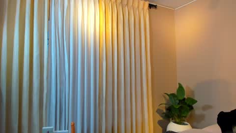 Jackson Bell online show from December 2024 01:07:02 PM