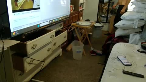 funtimes49203 online show from November 2025 08:52:01 PM