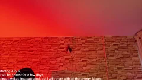 Snapshot of jade_white_ chatting on June 2026 12:18:02 PM jade white online show from June 2026 12:18:02 PM
