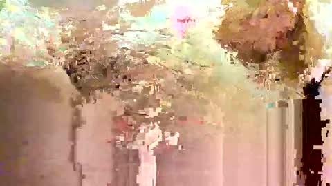 jadedmoshier online show from November 2025 09:01:01 AM