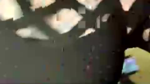 jadedrose88 online show from August 2026 02:04:02 PM