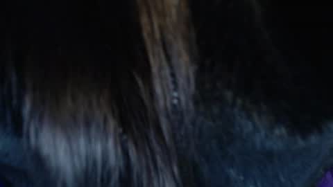 Snapshot of jalea_real_69 chatting on July 2026 06:50:01 AM jalea_real_69 online show from July 2026 06:50:01 AM