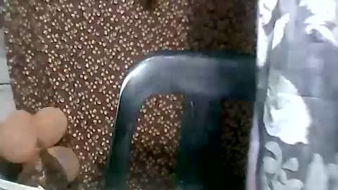 jaliah15 online show from February 2025 12:27:02 PM