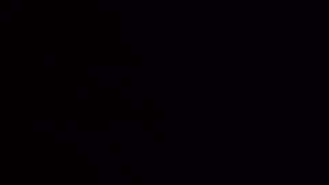 Jamacian online show from October 2025 11:24:02 PM