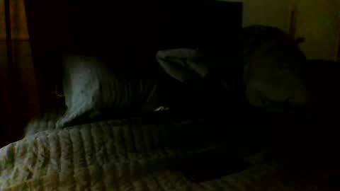 Jamacian online show from November 2025 05:07:02 AM