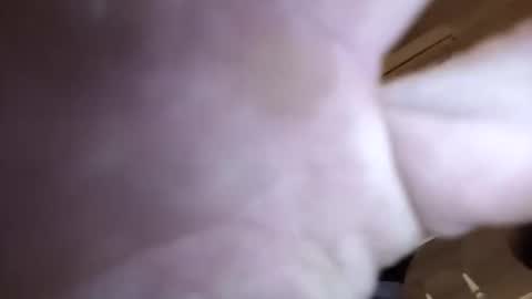 jamesloveridge901 online show from April 2026 08:56:02 AM