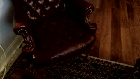 James Pembroke at your service online show from July 2026 01:53:01 AM