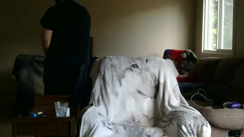 jameswolf777 online show from September 2025 02:44:01 PM