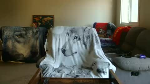 Snapshot of jameswolf777 chatting on February 2026 08:57:02 PM jameswolf777 online show from February 2026 08:57:02 PM