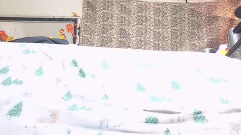 Bootyshows online show from October 2025 04:17:02 PM