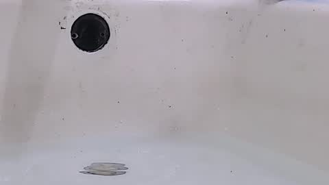 Bootyshows online show from March 2026 11:58:02 AM