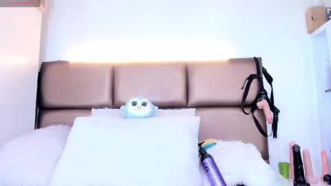 Janette online show from February 2025 03:31:02 AM