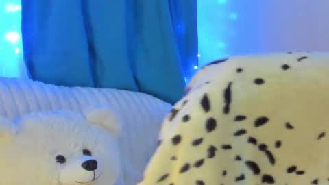 JansyLines online show from December 2024 08:24:01 AM