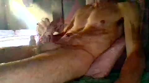 janzibor online show from July 2026 12:46:02 PM