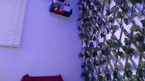 Snapshot of jasson_king01 chatting on December 2024 07:04:02 PM JKing online show from December 2024 07:04:02 PM