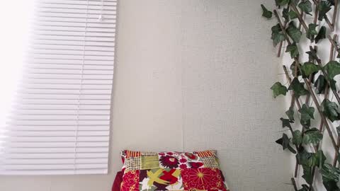 Snapshot of jasson_king01 chatting on January 2025 05:05:01 PM JKing online show from January 2025 05:05:01 PM