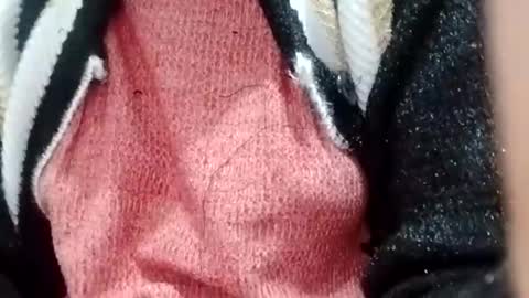 jasspreettt online show from December 2024 02:35:02 AM