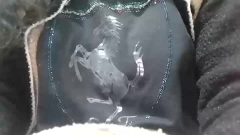 jasspreettt online show from February 2025 06:58:02 AM